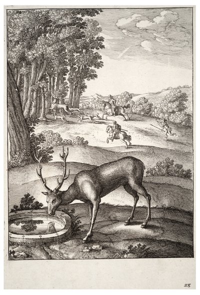 The Stag. State 2 by Wenceslaus Hollar